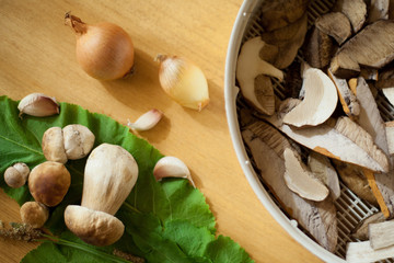 grzyb prawdziwek © JoannaTkaczuk