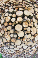Woodshed with logs cut and perfectly aligned for heating during