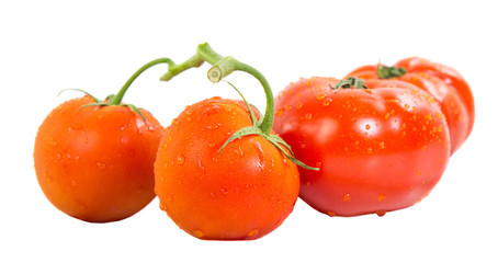 A group of various type and sizes of tomatoes