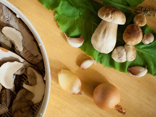 grzyb prawdziwek © JoannaTkaczuk