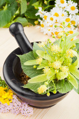 mortar and pestle with linden flowers, chamomille and milfoil, h