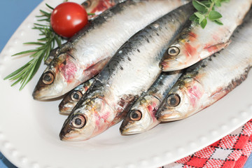 sardines