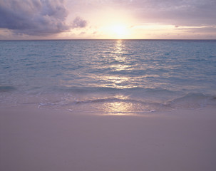 海