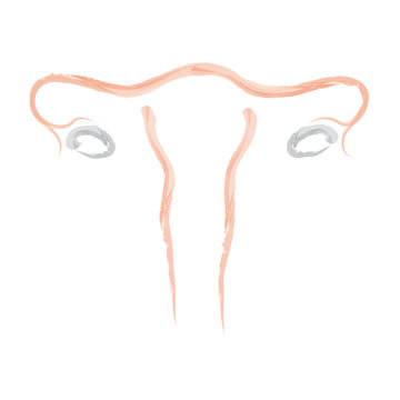 Uterus Abstractus
