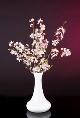Beautiful blooming branches in vase on bright background