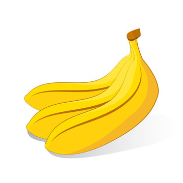 bunch of bananas on white background - vector illustration