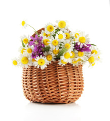Beautiful wild flowers in basket, isolated on white