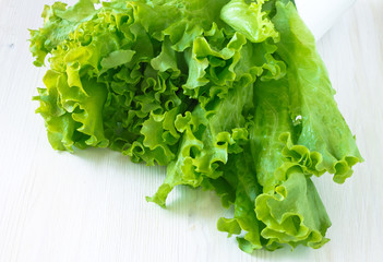 Fresh lettuce salad leaves bunch