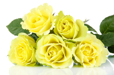 Beautiful bouquet of roses isolated on white