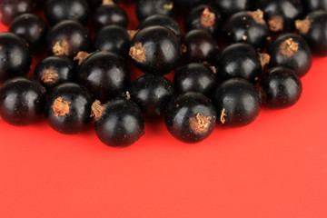 Blackcurrants on red background