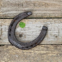 Horse-shoe and clover, vintage symbols of luck