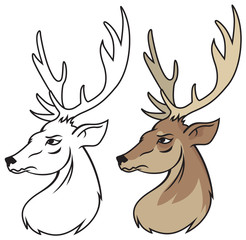 head of red deer vector
