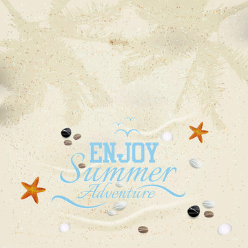 Holiday greeting card with shells and starfishes. Vector