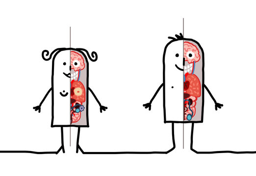 couple & anatomy