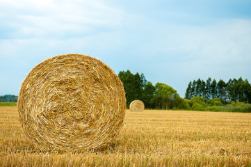 Straw Bales