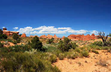 Naklejka premium Parc national arches usa