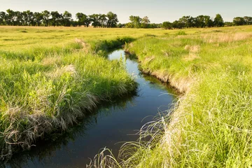 Fotobehang creek winding through Kansas pasture field © Carbonbrain