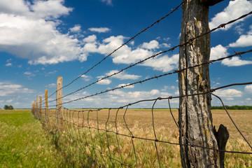 barbed wire fence in Kansas pasture field - Powered by Adobe