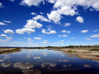 Cloud Reflections in Eastern Washington