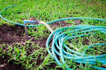 rubber tube in lawn,water the plants