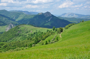 Obraz premium Beautiful green, vibrant mountains