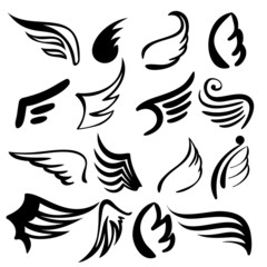 Wings  set   vector  illustration