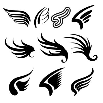 Wings  set   vector  illustration
