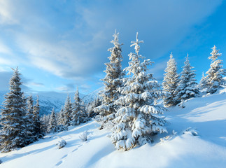 Morning winter mountain landscape