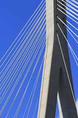 Abstract Cable stayed bridge