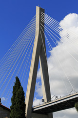Fototapeta premium Cable stayed bridge