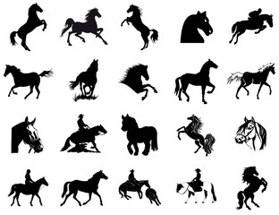 chevaux