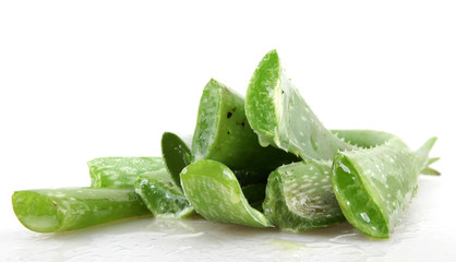 Fototapeta premium aloe vera