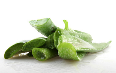 Fototapeta premium aloe vera