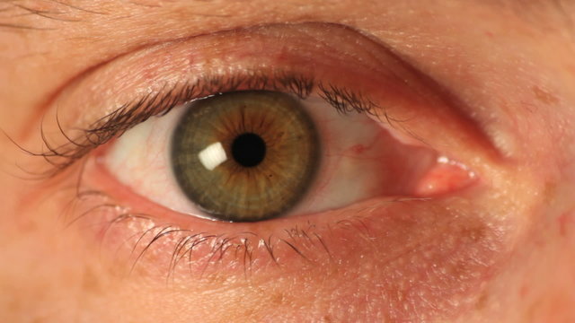 Green eye close-up. Find similar clips in our portfolio. 