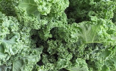 Close-up of a bunch of kale at a local farmer's market