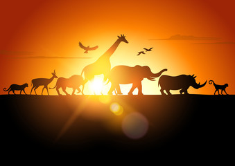 Zachód słońca na Safari - obrazy, fototapety, plakaty