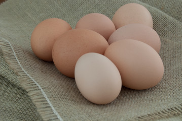 seven chicken eggs
