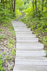 Obraz premium 石板路