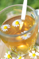 Tee mit frischen Kamilleblüten