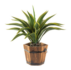 Agave in wood bucket -Artificial plant