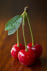 Sour cherries with a leaf