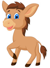 Cute horse cartoon