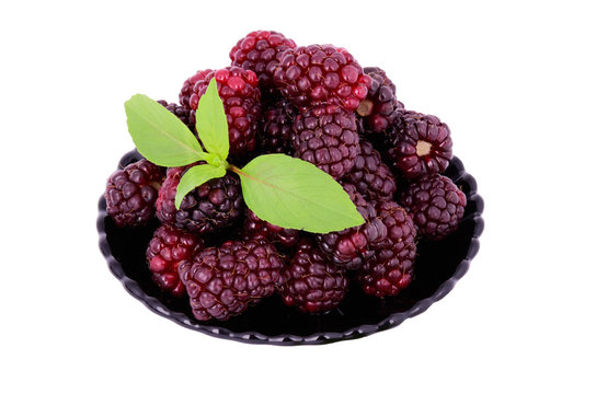 blackberries in a plate isolated on white