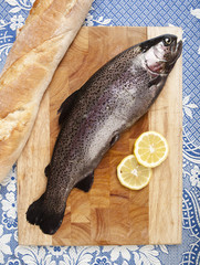 forelle frisch gefangen angeln