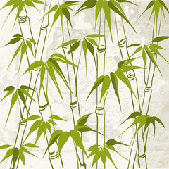 Fototapety  Bambus z wzorem liści.