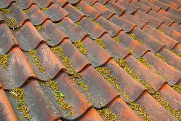 Old weathered roof in springtime
