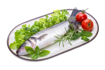 Raw seabass