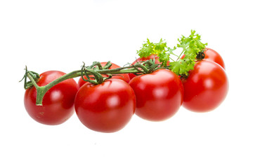 Tomato branch with parsley