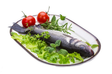 Raw seabass