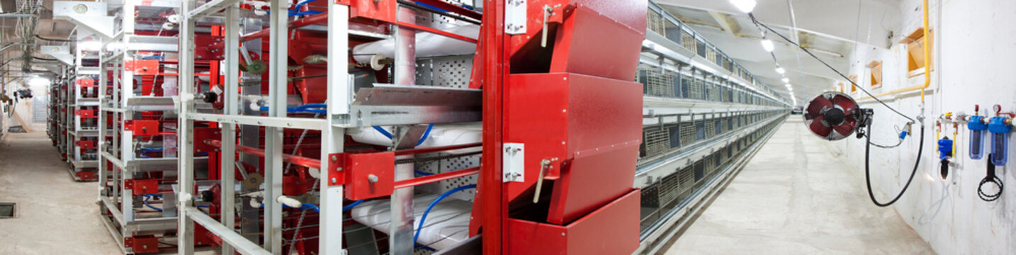 Chicken incubator machine, hatchery, agricultural industry